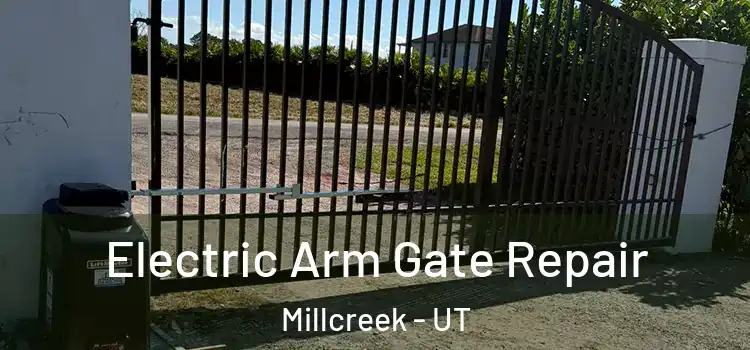 Electric Arm Gate Repair Millcreek - UT