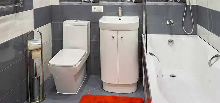 Hansgrohe Shaving Mirror Millcreek